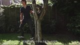 猫咪从很高的地方跳下来，也不会受伤，难道真的有九条命吗
