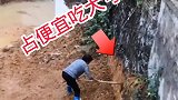 摊上这样的邻居倒透霉了