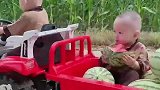 农村外婆怕外孙回家寂寞，给安排了拖拉机干活，这可爱到我了！