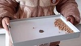 不嫌人了，在家可以玩一下午！