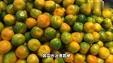 才知道买橘子要挑母的，教你挑选窍门，橘子皮薄水多，又甜又好吃