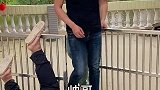 今天出门忘记看黄历了
