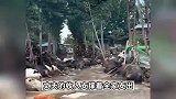 河北涿州正统计受灾情况，村民：家中损失至少10万，希望多给些补助