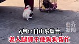 老人腿脚不便狗狗帮助其行走 犹如亲人般的错在