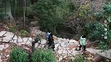 徐梦洁走路、滑雪说摔就摔倒，赖美云调侃：感觉你不痛的样子！