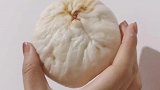 来吃个豆沙包吧，绿豆真的跟沙子一样