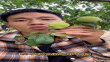 你是饿慌了吗