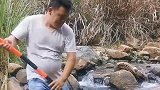 大哥拿锤敲石头，没想到一下就能抓到鱼，这敲石头跟抓鱼有啥关系