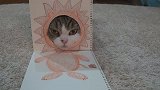日本网红猫的百变造型，笑到停不下来，网友：主人太有才了