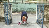 搞笑视频合集，每一个都让人笑到停不下来，哈哈