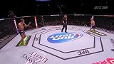 UFC-14年-UFC178副赛：加布里安vs吉布森集锦-精华