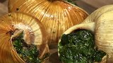 法国蜗牛供不应求，为什么中国蜗牛却没人吃？