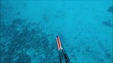深海有氧潜捕，7条十几斤的猛货一条接着一条打，收获满满