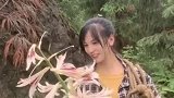 这是什么花谁知道，好漂亮啊，农村的孩子应该都知道