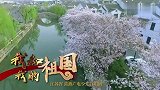 银河百团作品展播：“袅袅炊烟、小小村落，路上一道辙”