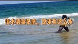 海水清澈，看看有多少鱼！