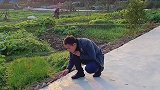 要不是亲眼目睹我都不敢相信