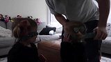 顽皮可爱的像一块美玉，幼儿的玩耍让人向往，你喜欢吗