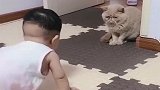 自从这个小公主一回家，家里的猫就成了这样，咱也不敢过去问！