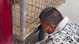 街边看到了辛酸的一幕，男子竟然要把怀孕的母狗，买到狗肉馆里！