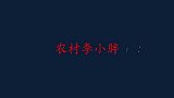 黄河闸口涌现大量甲鱼漂浮，小伙一网打上来很激动，个头不小过瘾