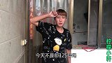 金毛为了求爱给主人要生日礼物，小伙拿出来什么？把狗狗给乐坏了