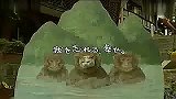 生活-日本Recruit猫广告这只猫也太会享受了！