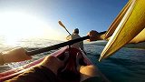极限GoPro-16年-Gopro第1视角 鹈鹕学捕鱼-新闻