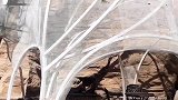 高黎贡山下的这家民宿，有一头大熊出没