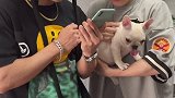 诈骗人员：后悔，我现在非常后悔