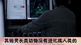 儿童科普 为什么其他灵长类动物没有进化成人类？ 学浪计划