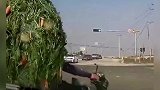 盘点监控下的爆笑瞬间，美女，你成功用演技骗到了我，肚子都笑疼