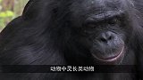 号称捕蛇界的高手，靠着这样一双大长腿，蛇见了也是毫无办法！
