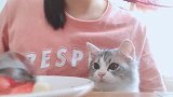 爆笑：练过瑜伽的都清楚，有备无患……