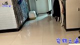 小主人在前面跑，几只猫咪在后边追，胖公猫追不上生气了，太逗了