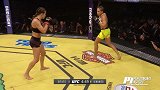 UFC-17年-UFC213自由格斗：努涅斯vs米莎塔特-专题