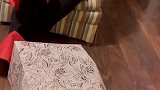 治愈系它好像本来就知道自己是谁的修勾！！