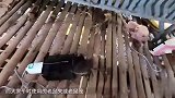 用二氧化碳来灭鼠的神器，十天消灭120只