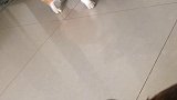 今天维维和皮皮都不在状态,吵架一直不在一个频道上