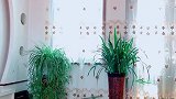 仰卧的坐角式！