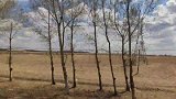 东北的天气真是变幻莫测，昨天还是狂风大雪，今天就风和日丽了