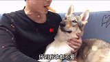你这样大方我都不好意思吃了