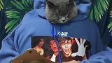 猫头先生，也很厉害