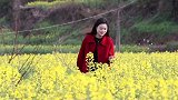 剑阁县 双旗村百亩油菜花 盛放，小编带你春光～春天你好