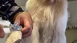 这样剪指甲算乖吗