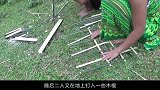 夫妻野外自制陷阱抓鸽子，现场生火直接烤，看着简直太美味！