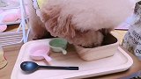 听说你们喜欢看涂涂吃播