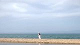 鞠婧祎去海边旅行，手绘卡通图片，真的很惬意