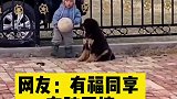 可爱小狗狗陪小主人踢球，有福同享，有跤同摔