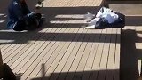 第三视觉的小姐姐